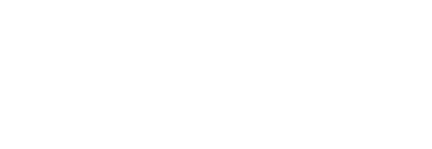 Fortress Attractions